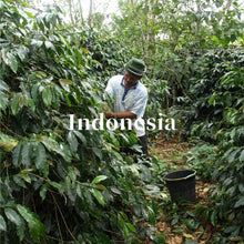 画像をギャラリービューアに読み込む, インドネシア リントンニフタ ビンタンリマ