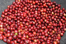 画像をギャラリービューアに読み込む, ビンタンリマのコーヒーチェリー