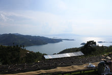 画像をギャラリービューアに読み込む, ルワンダ スカイヒル コプロカWS ウォッシュド