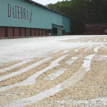 画像をギャラリービューアに読み込む, ブラジル ダテーラ農園 天日乾燥