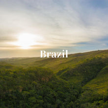 画像をギャラリービューアに読み込む, ブラジル ダテーラ農園