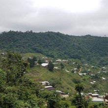 画像をギャラリービューアに読み込む, メキシコ ドン・ラファ農園