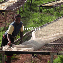 画像をギャラリービューアに読み込む, ケニア マサイAA ウォッシュド