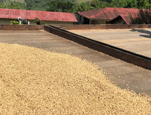 画像をギャラリービューアに読み込む, コロンビア シエラネバダ ラ・ミエルのパティオ