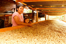 画像をギャラリービューアに読み込む, ペルー ロメリージョ農園