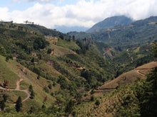 画像をギャラリービューアに読み込む, ピエサン農園