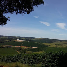 画像をギャラリービューアに読み込む, サントアントニオドアンパロ周辺のコーヒー農園の風景