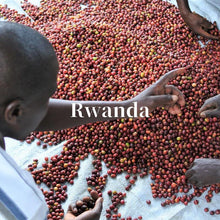 画像をギャラリービューアに読み込む, ルワンダ スカイヒル コプロカ ウォッシングステーション