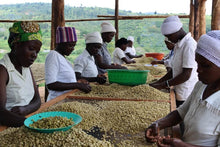 画像をギャラリービューアに読み込む, ルワンダ スカイヒル コプロカWS ウォッシュド