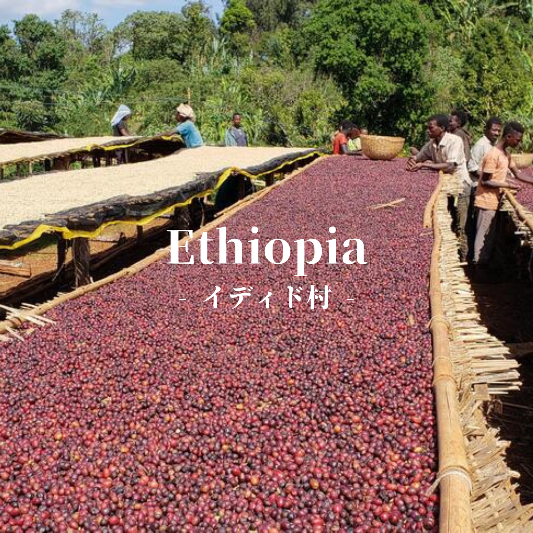 エチオピア イディド村 G1 ナチュラル