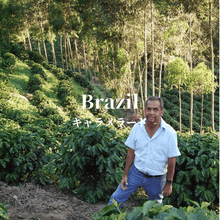 画像をギャラリービューアに読み込む, ブラジル サンタカタリーナ農園 キャラメラード（有機JAS認証）
