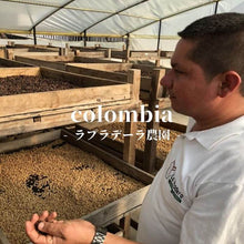 画像をギャラリービューアに読み込む, コロンビア ラ・プラデーラ農園 デカフェ（カフェインレス）
