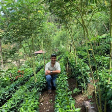 画像をギャラリービューアに読み込む, グアテマラ ウエウエテナンゴ  ウィツマティグ農園の農園主アイバン・アルトゥーべ
