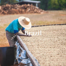 画像をギャラリービューアに読み込む, ブラジル ダテーラ農園 サンドライ

