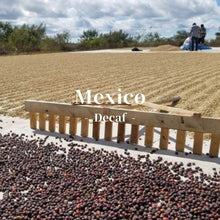 画像をギャラリービューアに読み込む, メキシコ ドン・ラファ農園 ディカフェ（カフェインレス）
