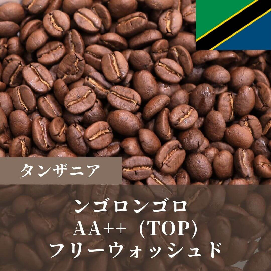 超特価激安 コーヒー粉orコーヒー豆200g ンゴロンゴロAA++